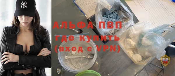 твердый Инсар