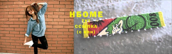 твердый Инсар