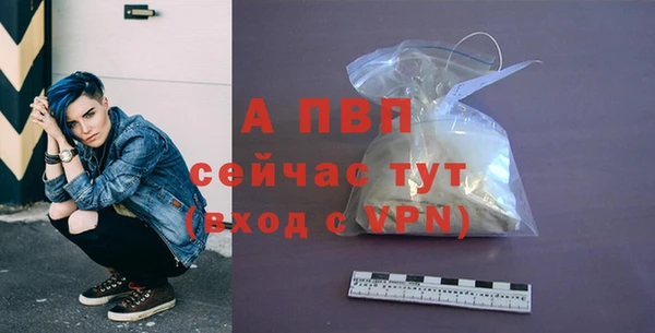мяу мяу мука Иннополис