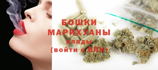 твердый Инсар