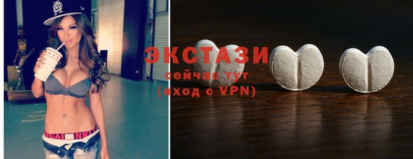 твердый Инсар