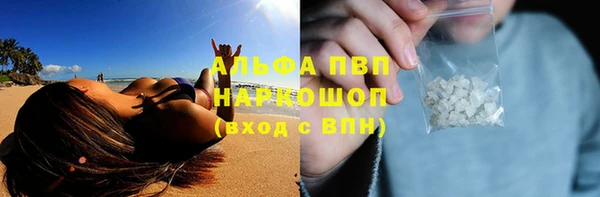 твердый Инсар