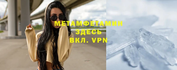 мяу мяу мука Иннополис