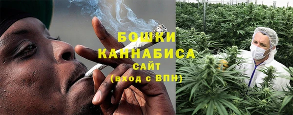 мяу мяу мука Иннополис