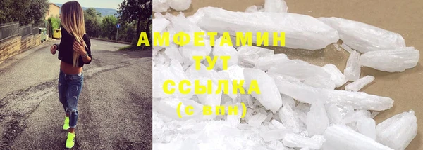 твердый Инсар