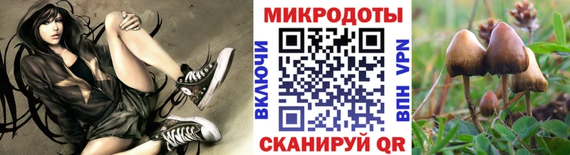 Купить  Ишим  Псилоцибиновые грибы Psilocybe 